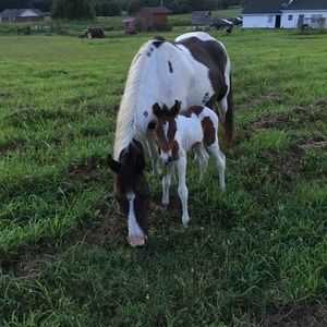 Meet your Posher, Richard